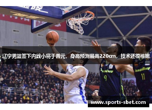 辽宁男篮签下内线小将于善元，身高预测最高220cm，技术还很稚嫩